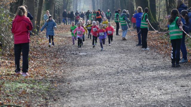 Schülerwaldlauf 2026 – Bild 3