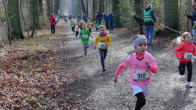 Schülerwaldlauf 2026 – Bild 4