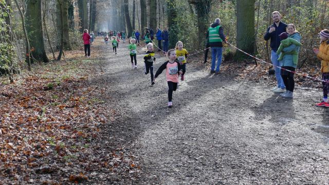 Schülerwaldlauf 2026 – Bild 5