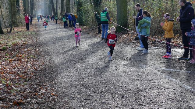 Schülerwaldlauf 2026 – Bild 6