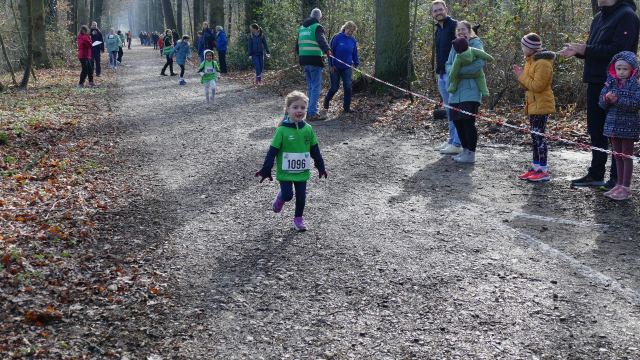 Schülerwaldlauf 2026 – Bild 8