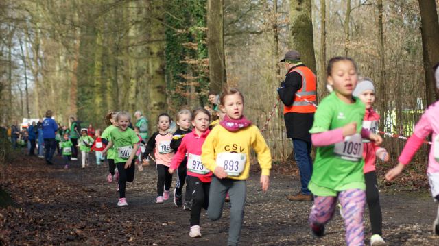 Schülerwaldlauf 2026 – Bild 9