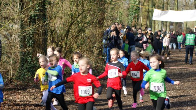 Schülerwaldlauf 2026 – Bild 27
