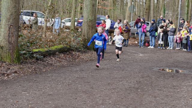 Schülerwaldlauf 2026 – Bild 51