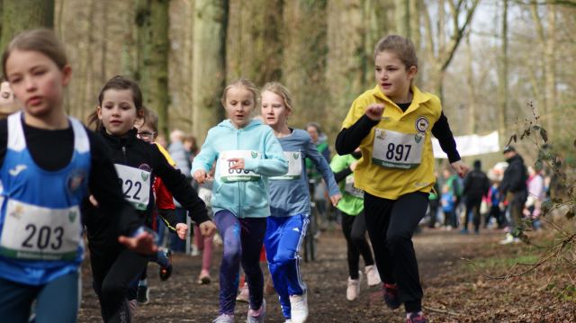 Schülerwaldlauf 2026 – Bild 62