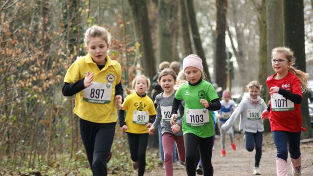 Schülerwaldlauf 2026 – Bild 81
