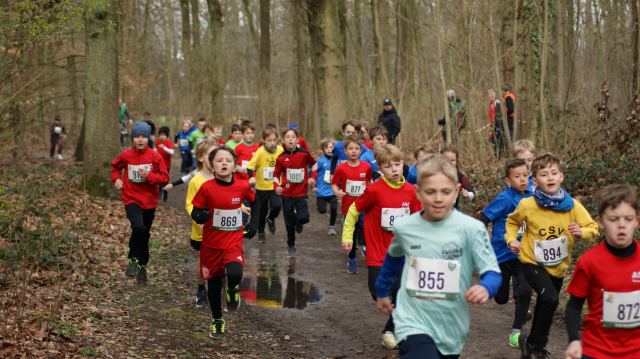 Schülerwaldlauf 2026 – Bild 99
