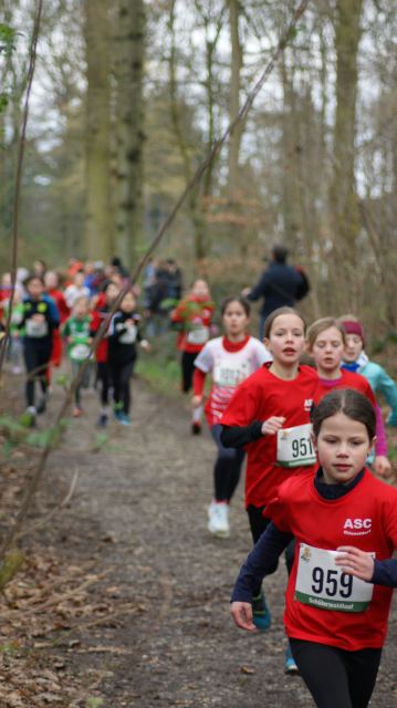 Schülerwaldlauf 2026 – Bild 132