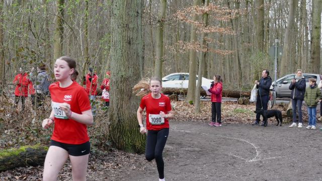 Schülerwaldlauf 2026 – Bild 179
