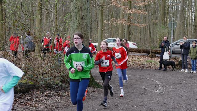 Schülerwaldlauf 2026 – Bild 184
