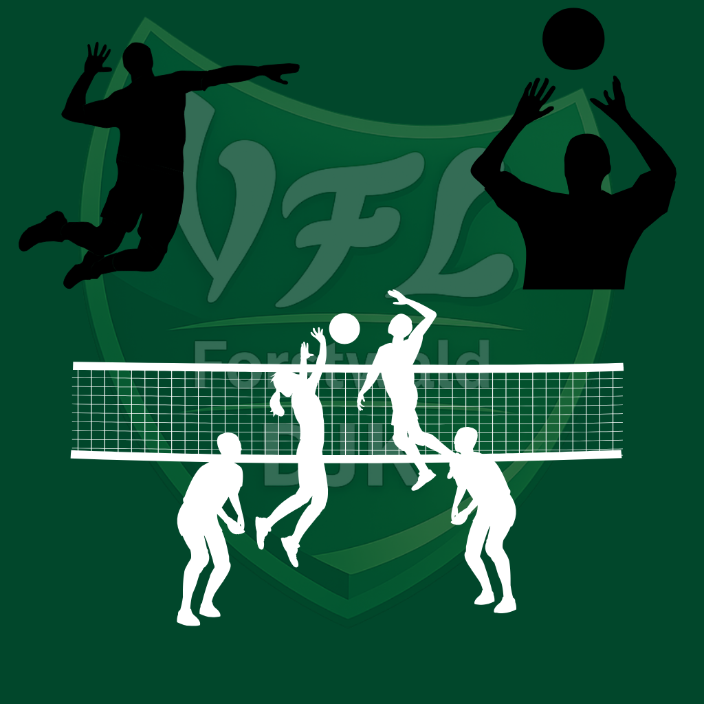Volleyball Erwachsene